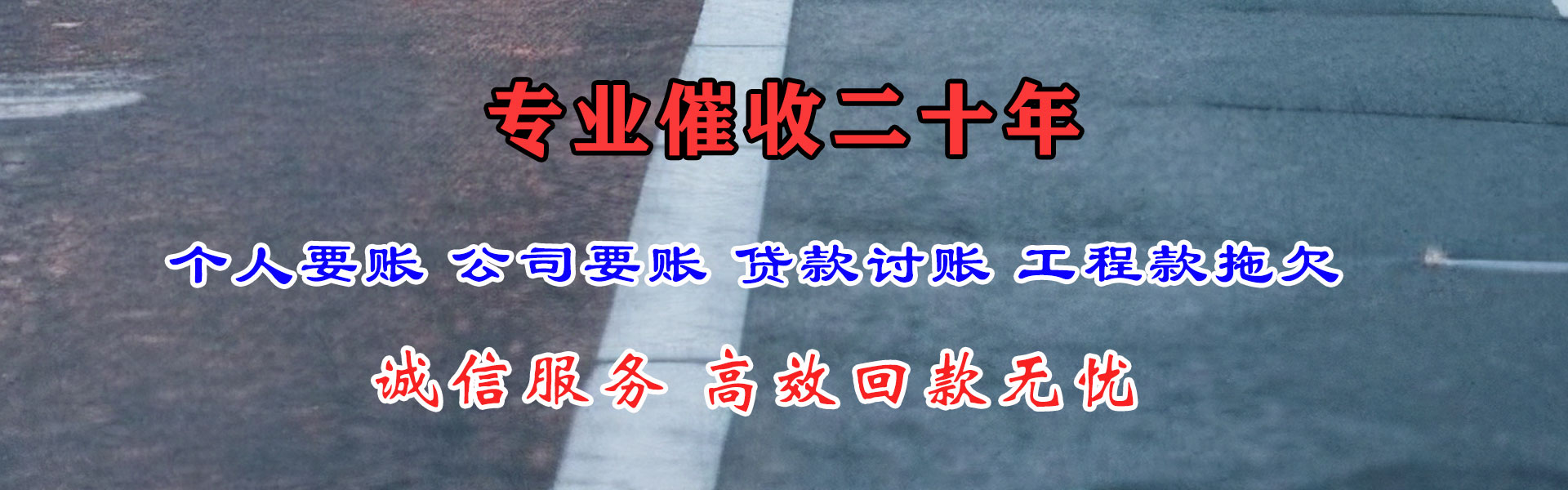 东平收数公司